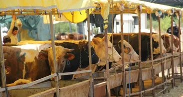 Bayram tatili kaç gün, 9 gün mü olacak? 15 Temmuz ile Kurban Bayramı tatili birleşecek mi? 13-14 Temmuz tatil olacak mı?