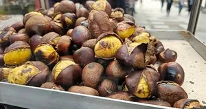 Kestane tezgahlarda yerini aldı