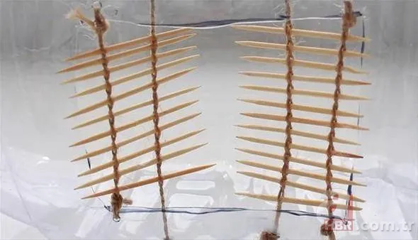 Kendi yöntemini geliştirdi, balıkları bir bir böyle avlıyor! 23