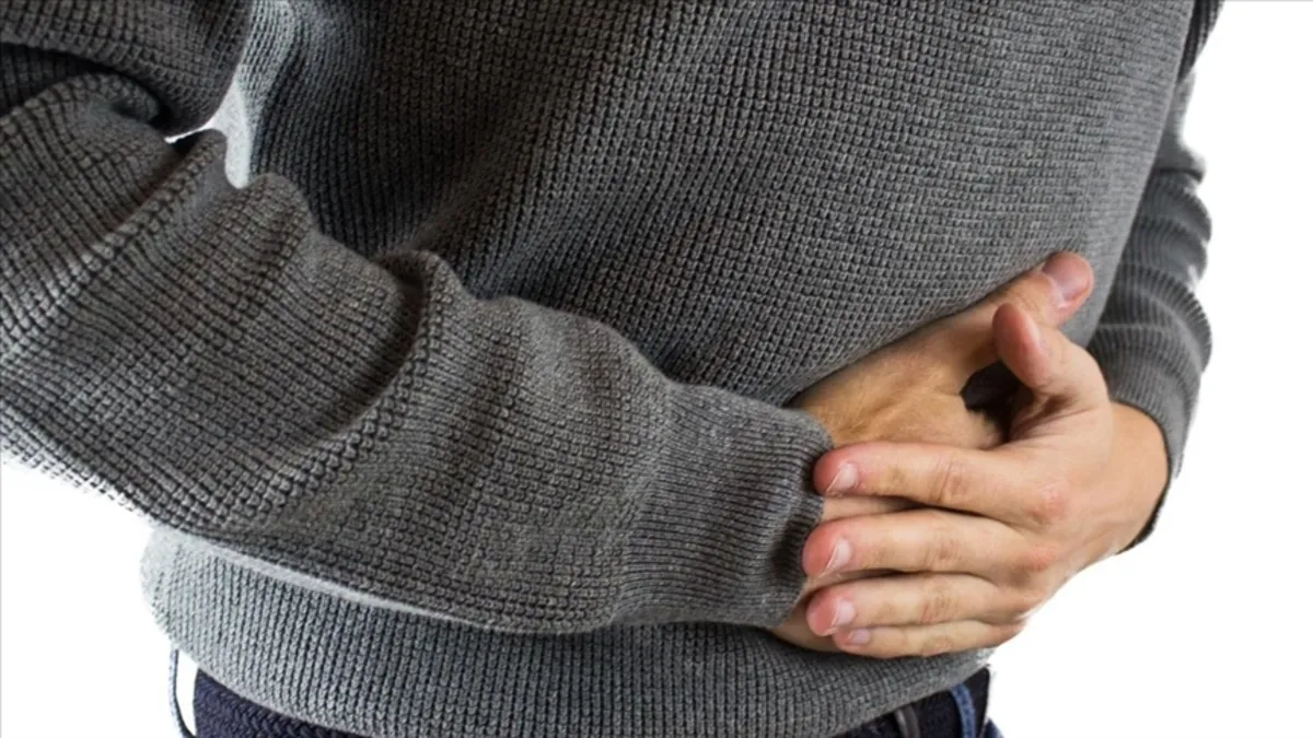 Bağırsaklardaki bağışıklık hücreleri mikroplara karşı kalıcı savunma sağlıyor