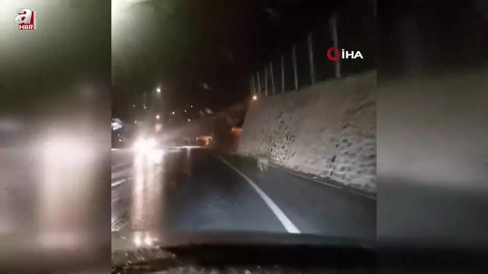 Şehir merkezine inen ayı görüntülendi