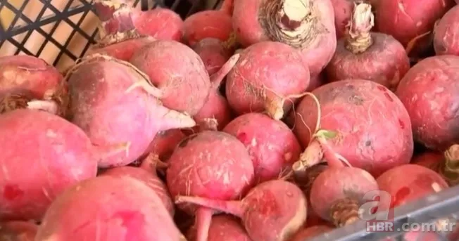 Mor renkte şifa var! Mor ve bordo sebzeler hastalıklarla savaşıyor 1