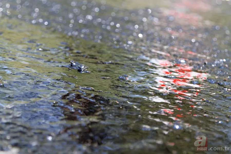 Fethiye'de asfalt eriten sıcaklar hayatı durdurdu 6