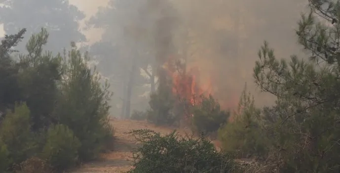 bodrumda-ormanlik-alanda-yangin-havadan-ve-karadan-kesintisiz-mudahale-mugla-valisinden-ilk-aciklama-1720554058132.jpg Bodrum'da orman yangını kontrol altında! Havadan ve karadan müdahale sürüyor - 6