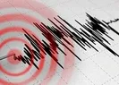 Kuşadası Körfezinde korkutan deprem!