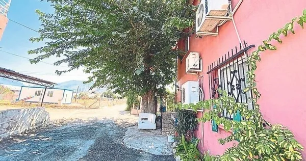 1619512671984.jpg İnekli paylaşıma ceza! Bu fotoğraf başını yaktı - 2