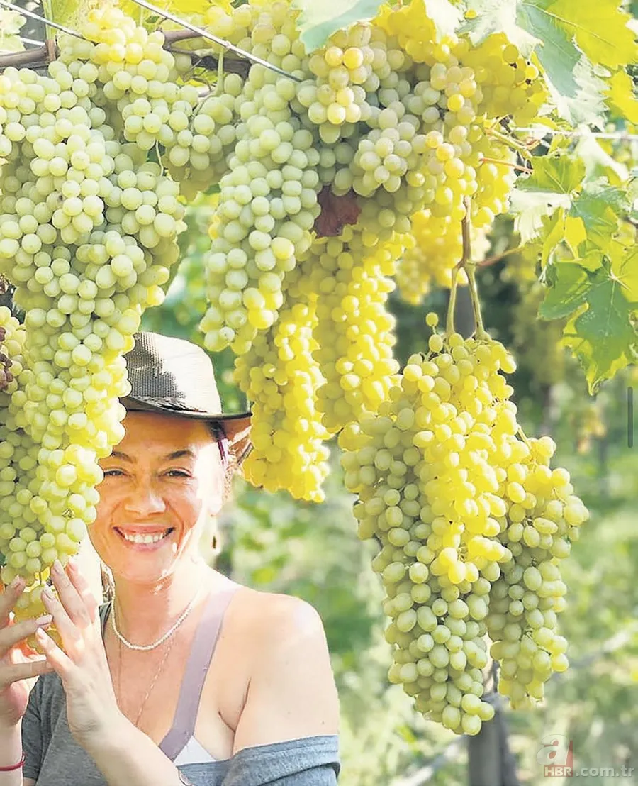 Gökçe Bahadır’dan Bodrum’da dev yatırım! Yeni evinin fiyatı dudak uçuklattı 18