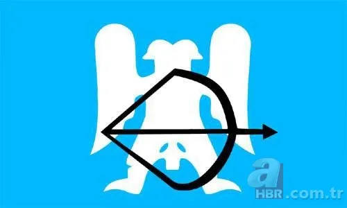 İşte Türklerin soyağacı! Hangi il hangi boydan geliyor? 11