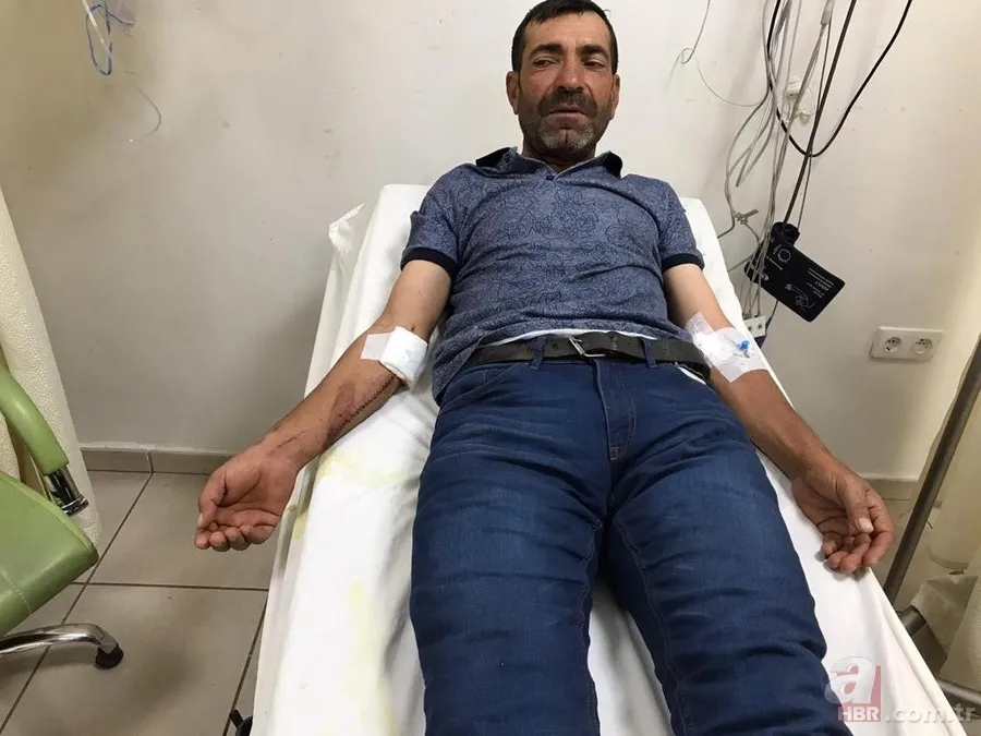 Görüntüler Erzurum’dan… Ayı çobana saldırdı! ‘Ayının altından kurtuldum ve…’🐻 1