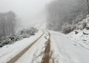 Erdek ilçesinde kar yağışı etkili oldu