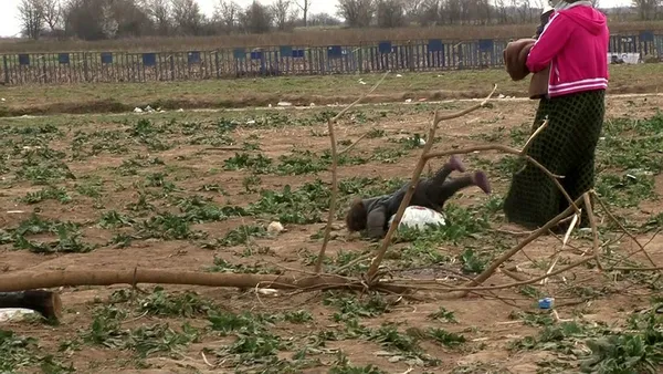Başkan Erdoğan'ın sözünü ettiği sığınmacı Necla'nın babası konuştu: Kötü adamlardan, Esad'den kaçıp Türkiye'ye geldik - 4