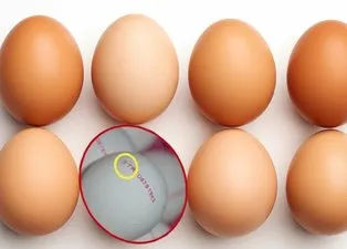 Yumurta kodlarının sırrı: Organik olduğunu böyle anlayabilirsiniz! 0, 1, 2, 3 numara yazıyorsa...