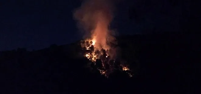 Son dakika: Kartal Aydos Ormanları’nda yangın!