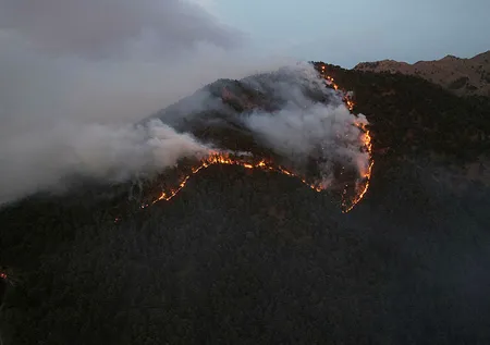 Denizli'de yangın faciası! Bölgedeki 50 ev boşaltıldı | 7 ilçede çıkan orman yangınlarından 6'sı kontrol altına alındı