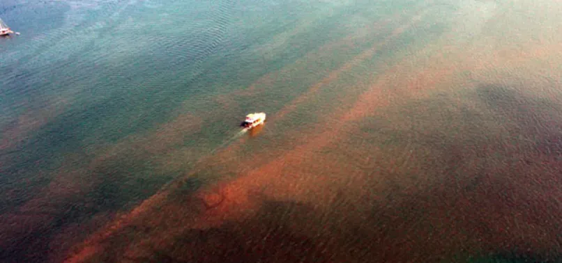 Fethiye Körfezine 15 yıl ömür biçildi