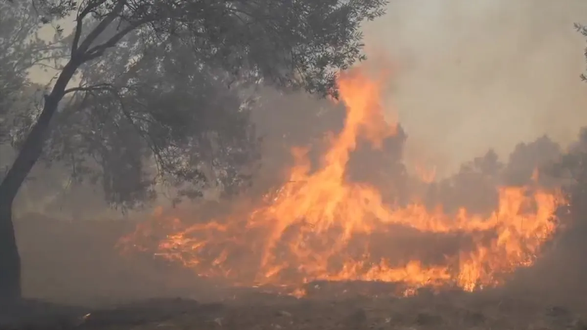 Balıkesir'de art arda yangın! Alevler kontrol altına alındı