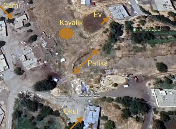 narin-guran-davasinda-yeni-gelisme-avukati-istinaf-basvurusu-yapti-1738847703379.jpg Dilekçenin sonuç kısmında Yüksel Güran'ın tahliyesi talep edildi / AA