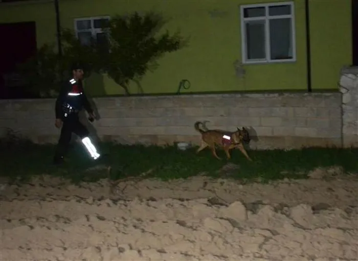 Karaman kayıp olarak aranan kız çocuğu ağılın avlusunda uyurken bulundu - 4