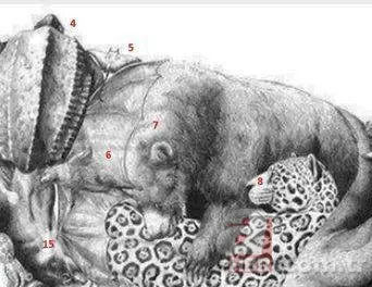 Zeka testi: Resimde kaç hayvan var? 30 saniyede bulamayanlar eleniyor 8