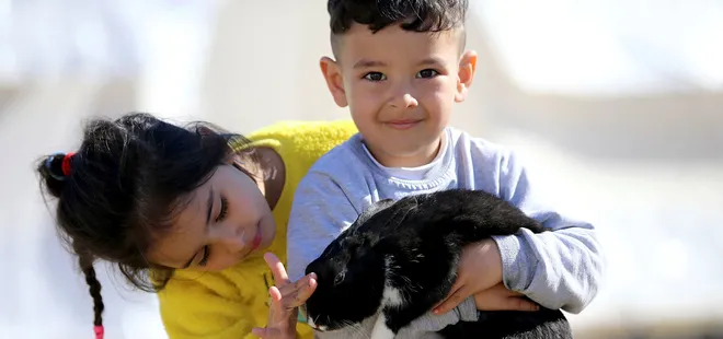 Çadır kentteki depremzedeler evcil hayvanlarını yanlarından ayırmıyor!