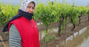 Bahar yağmurları üreticiyi sevindirdi