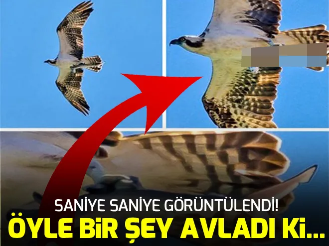 Tam zamanında!