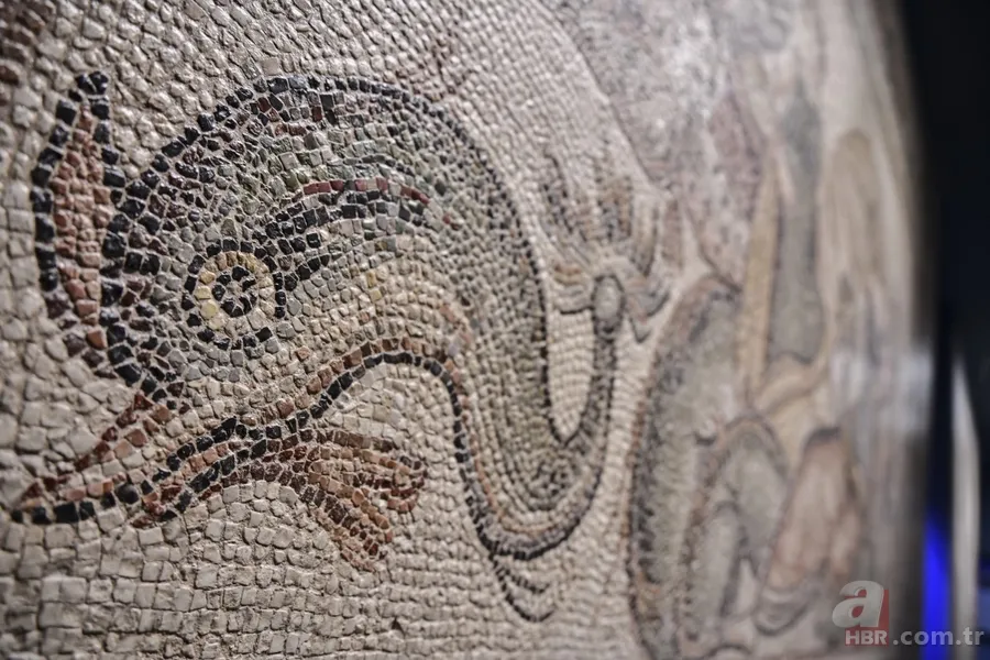 'Çingene Kızı' mozaiği Türkiye'ye getirildi 21