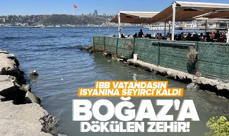 İBB vatandaşın isyanına seyirci kaldı! Bekar Deresi Boğaz’ı kirletmeye devam ediyor
