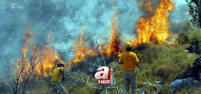 Türkiye orman yangınları son durum: Yangınlar söndürüldü mü? 3 Ağustos orman yangınları hangi illerde devam ediyor?