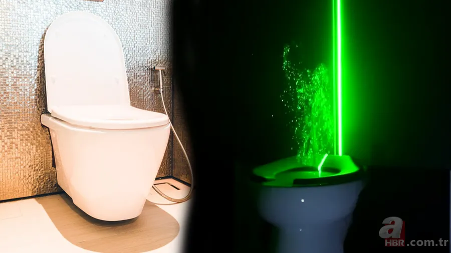 Klozeti kapamadan sifonu çekerseniz bunlar olur! Korkunç görüntüler... 1