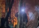 Ordu’da ormanlık alanda yangın!