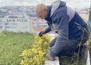 35 yıldır kimliksiz yaşıyor! Yetkililere seslendi