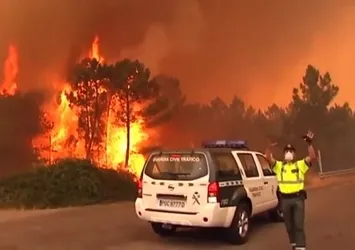 İspanya’da 14 noktada orman yangını: 7 ölü, 157 bin hektar kül oldu