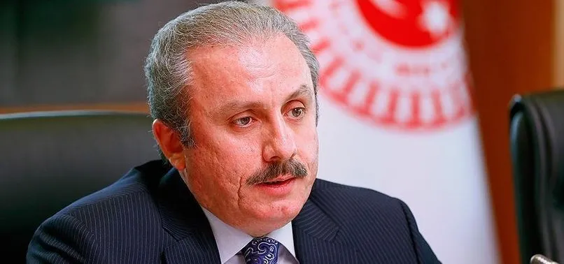 Mustafa Şentop'tan Türkiye ile ABD arasında varılan Suriye anlaşması hakkında açıklama