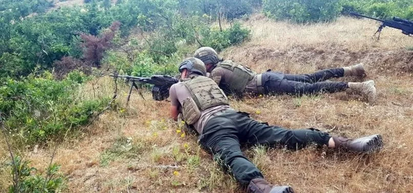 Bitlis'te 5 terörist etkisiz hale getirildi