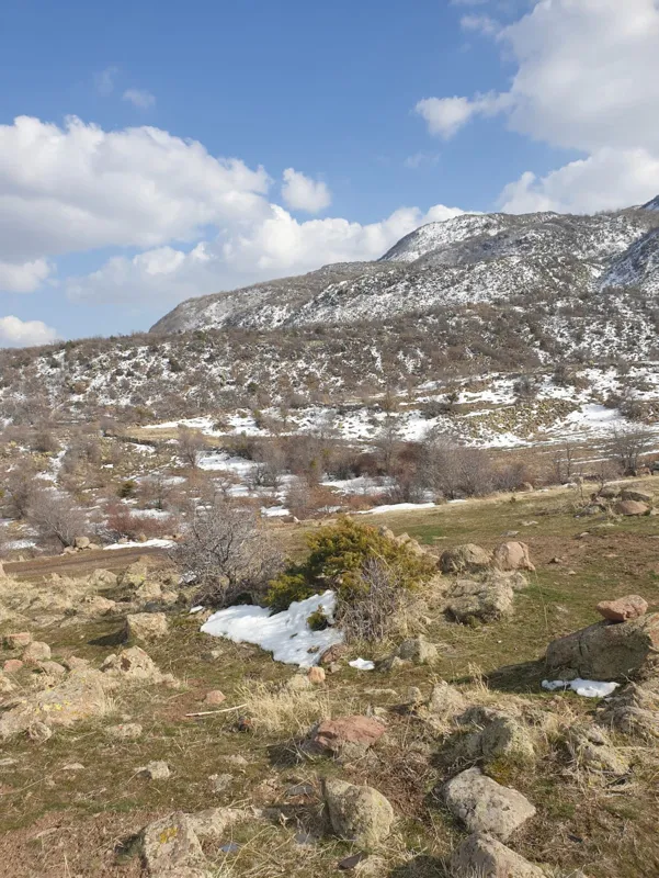 Son dakika: Yüzlerce cep telefonu yakılmış halde bulundu! FETÖ’cüler tarafından mı kullanılıyordu?