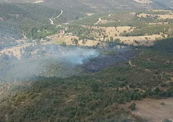 Uşak'ta orman yangını
