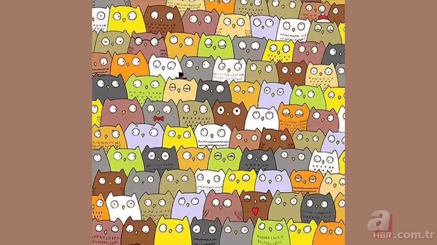 Sadece yüzde 1’lik kesim gördü! 7 saniyede baykuşların arasındaki kediyi bulun 2