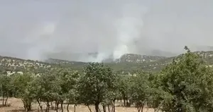 Mardin’de orman yangını