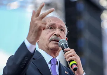 Bay Kemal umudunu leyleklere bağladı
