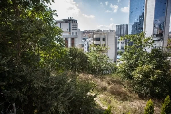 CHP’li İBB 175 milyonluk ihale ile bir parkı daha yok edecek