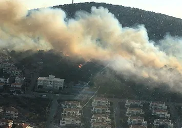Son dakika: İzmir Çeşme'de orman yangını
