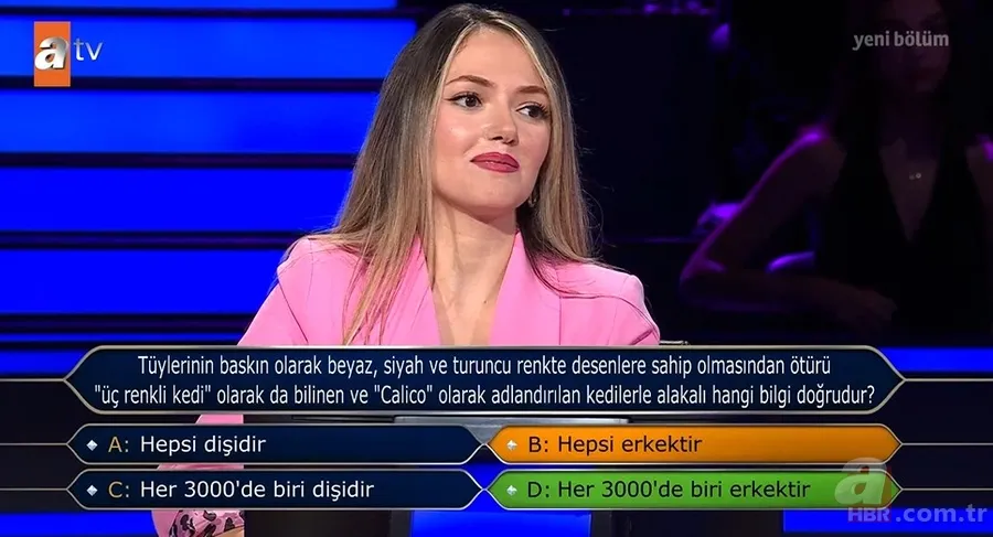 Milyoner’de heyecan dorukta: Üç renkli kedi sorusu yarışmaya damgasını vurdu! 10