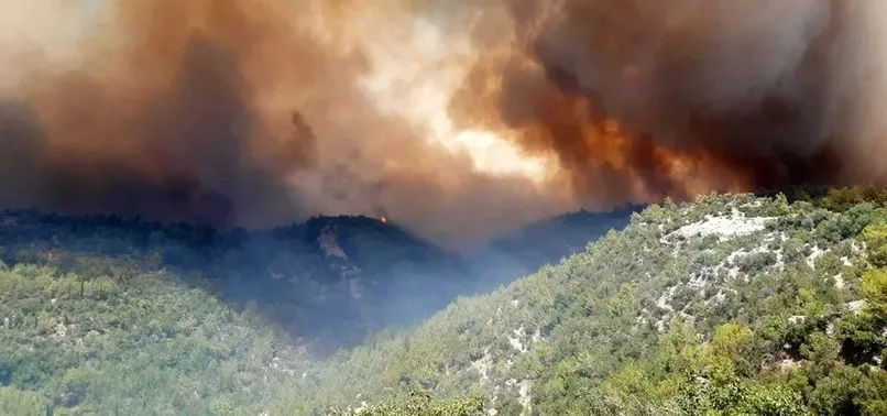 Manavgat’ta yangın felaketi! Manavgat Kaymakamı Mustafa Yiğit A Haber'e konuştu