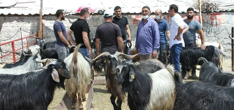 Bakan Pakdemirli duyurdu: Kalan kurbanlıklar satın alınacak