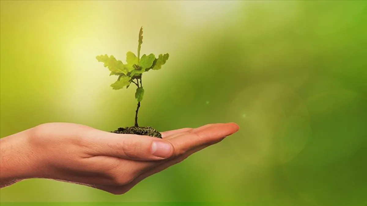 Geleceğe Nefes kampanyası 2025’te ne zaman? Fidan bağışı ücretli mi, nasıl yapılır?