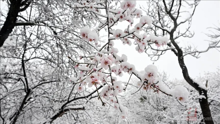 La Nina nedir, ne demek? La Nina kışı nasıl olur, özellikleri neler? 5