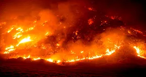 ABD’deki yangınlar Avrupa’ya ilerliyor