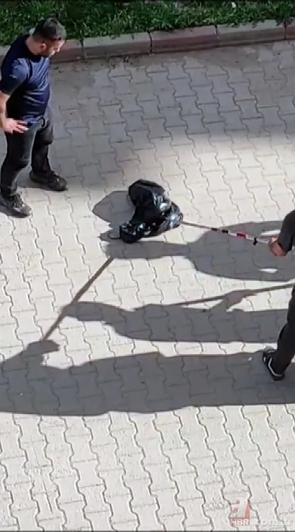 Görüntüler Türkiye’den! Anakonda büyüklüğündeki yılan dehşete düşürdü 3