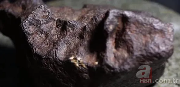 Yürüyüş yaptıkları sırada buldular! Fosil zannedip eve götürdükleri nesne bomba çıktı 13